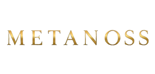 Metanoss